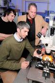 Acoustic component shrinks phase-array radars