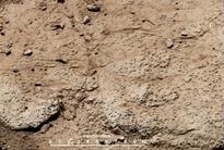 Curiosity Rover To Make Second Drill...