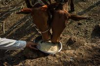 December: India Sees Children Dying Amid $2 Billion Program
