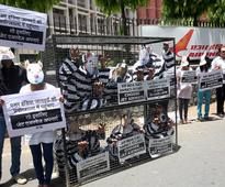 PETA holds protest against Air India