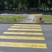 Bulgaria's Red Cross marks Second UN Global Road Safety Week