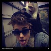 Germany Hands Justin Bieber Hefty Bill for Monkey Business