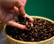 Tata Coffee Q4 net profit down over 12%
