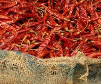 NCDEX Chilli bearish support at 5450 level