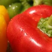 Healthier foods to be offered in National parks