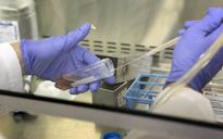 Human Cloning Coming Soon After Embryonic Stem Cell Breakthrough