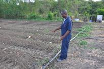 Climate Change Threatens Water and Food Security in Antigua