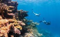 New GB Reef initiative could boost visitors to Bundy region