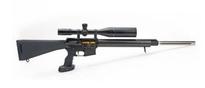 Gun Test: DPMS Panther LR-204