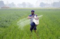 Signals decisive shift to high-value agriculture