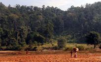 Forest advisory committee clears way for mining in Saranda