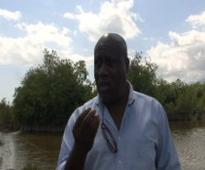 Haiti - Agriculture : Repopulation, conservation, rehabilitation and management of mangroves in the South