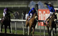 Dubai World Cup 2013 'live': Countdown begins... Defending champion Monterosso reported being lame