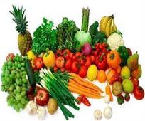Susceptibility to E. Coli Infection may be Increased by High Fiber Diets