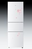 Haier enhances its refrigerator range; unveils new 3-Door refrigerators with convertible compartment