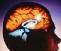 Psy to record with Brain May