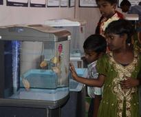 Free milch animal scheme has benefited 2.5 lakh families, says Minister