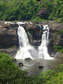 Power board dusts up its campaign for Athirapilly project