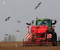 Coming shortly, Lamborghini tractors for rich farmers