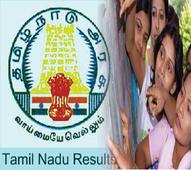 Tamil Nadu Class 12th Results 2013 declared