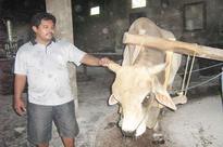 Yasir Feri Ismatrada: A noodle maker with social mission