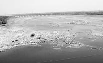 3 tmc ft of water left in Almatti dam