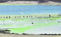 PIL moved in HC for pollution-free rivers