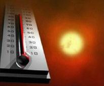 Temperature soars up to 50 degree celsius in interior districts