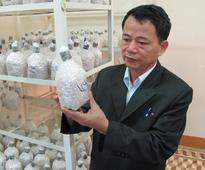 Mushrooms help farmers maimed by war-time munitions