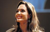 Jolie's 'Blood and Honey' not plagiarised