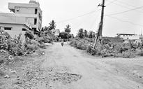 Villages have gone to dogs in east Godavari & west Godavari districts