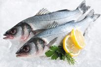 Initiative to educate school pupils on benefits of seafood