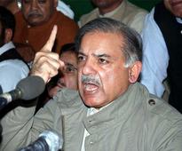 Zardari using looted money to run PPP campaign: Shahbaz