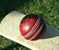 Woodhill`s batting coach role `baffles` Pak cricket greats
