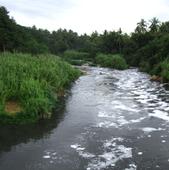 Bangalore University Has An Answer To The Water Crisis