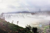 Sardar Sarovar Nigam acquires 16,000 hectares in two years