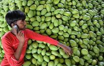 Increasing call rates the new reality of Indian telecom sector